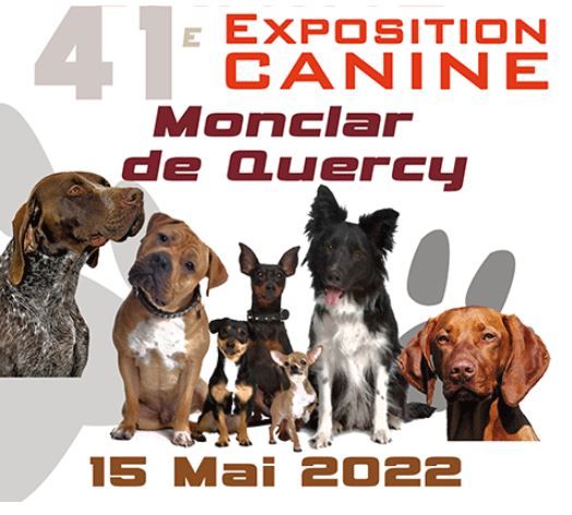 Opus Grande - Exposition de Monclar de Quercy