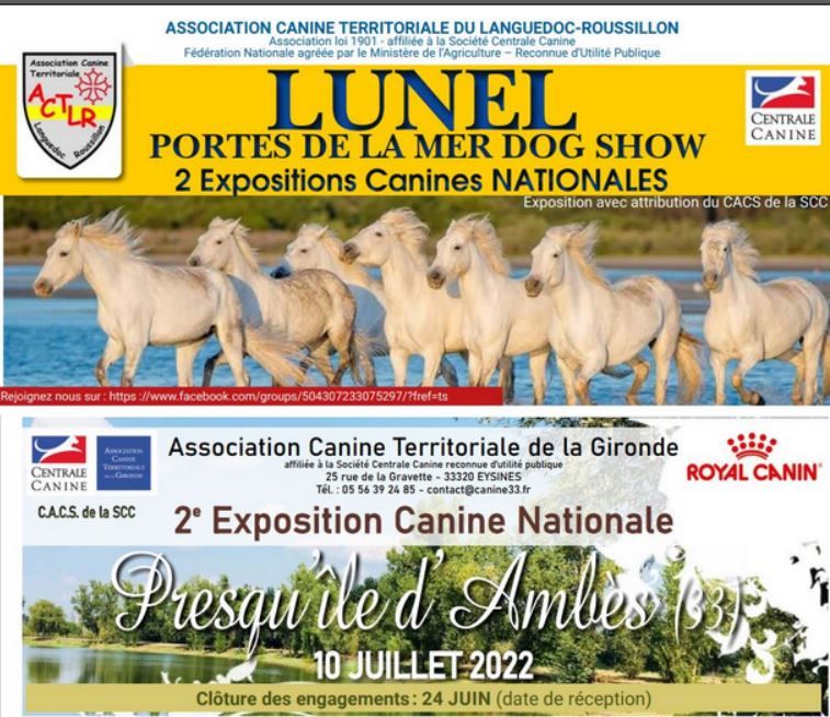 Opus Grande - Expositions de Lunel et de Presqu'île d'Ambès