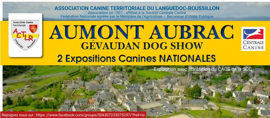 Opus Grande - Exposition de Aumont Aubrac